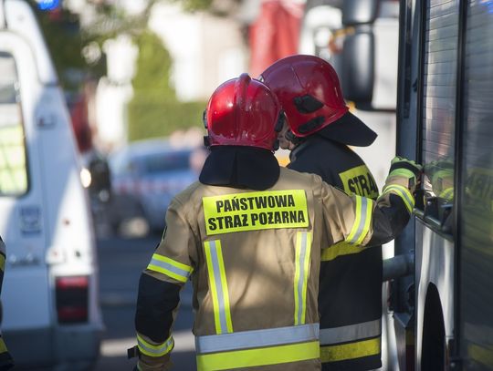 Wielkie serce bydgoskich strażaków. Nocna akcja ratunkowa przy Gdańskiej