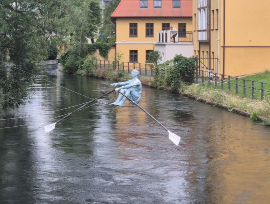 Wioślarz popłynie Młynówką