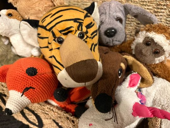 Wydarzenia w Galerii Miejskiej BWA w Bydgoszczy