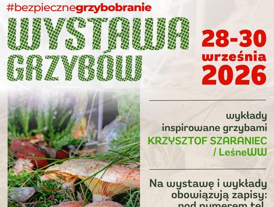 Wystawa grzybów leśnych w WSSE w Bydgoszczy. Zapisz się, zobacz, poznaj i naucz się rozpoznawać gatunki