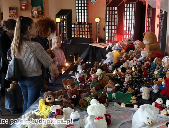 Wystawa Pluszowych Misiów w Pałacu Młodzieży: Misiowe budowanie relacji