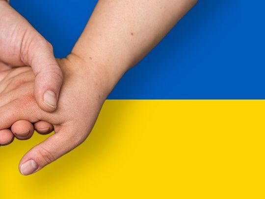Wznowiono działanie punktu rejestracji wizyt w Miejskim Centrum Obsługi Uchodźców z Ukrainy