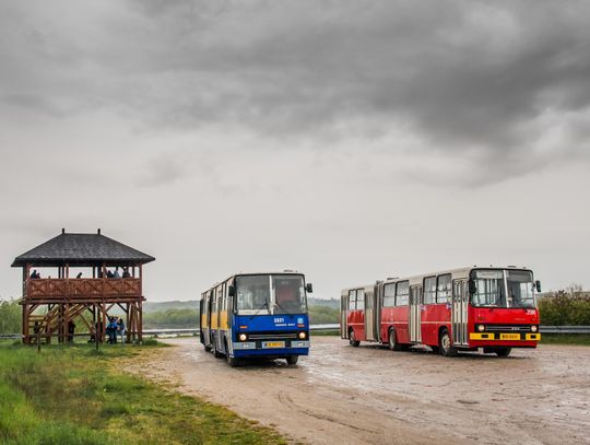 Zabytkowym autobusem po ulicach Bydgoszczy