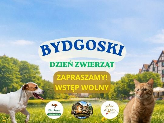 Zapraszamy na Bydgoski Dzień Zwierząt i Opiekunów. Edukacja, pomoc i wspólna zabawa w Parku Harcerstwa Bydgoskiego
