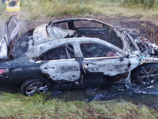 Zderzenie z łosiem na drodze w regionie. Auto stanęło w płomieniach