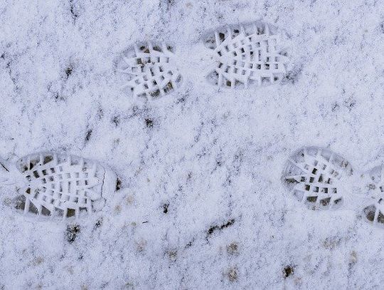 Złodziej z regionu zatrzymany po śladach na śniegu 