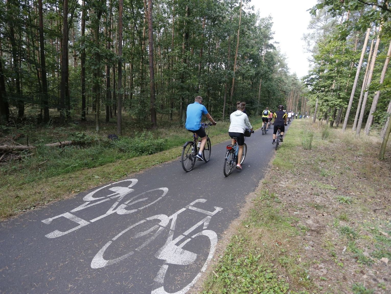 Trasy Rowerowe W Okolicy Bydgoszczy Wśród Najciekawszych Szlaków W Polsce