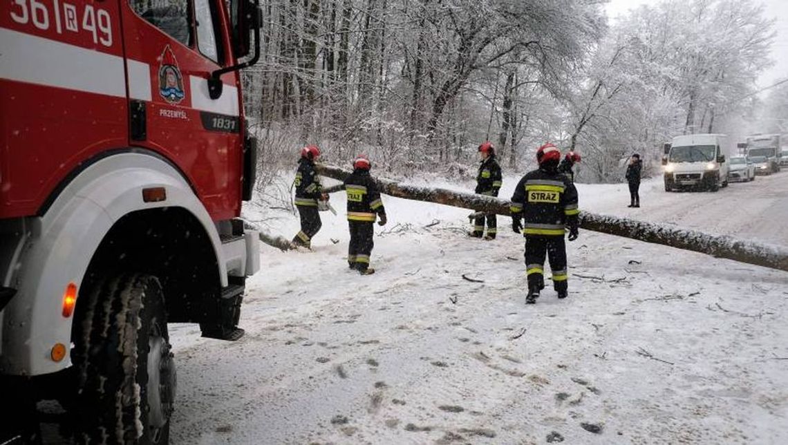2101 interwencji strażaków po opadach śniegu i deszczu ze śniegiem 2101 interwencji strażaków po opadach śniegu i deszczu ze śniegiem