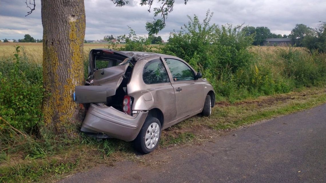 Aresztowany za umyślne spowodowanie wypadku drogowego w regionie