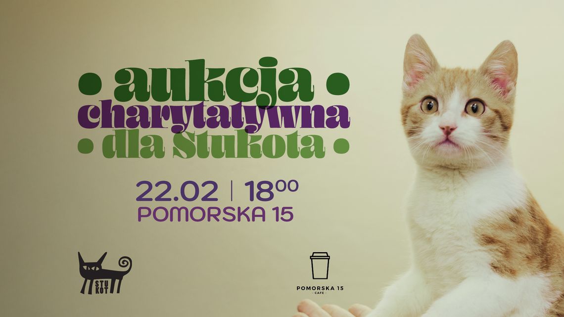 Aukcja charytatywna Stukot w Bydgoszczy – wesprzyj bezdomne koty 22 lutego