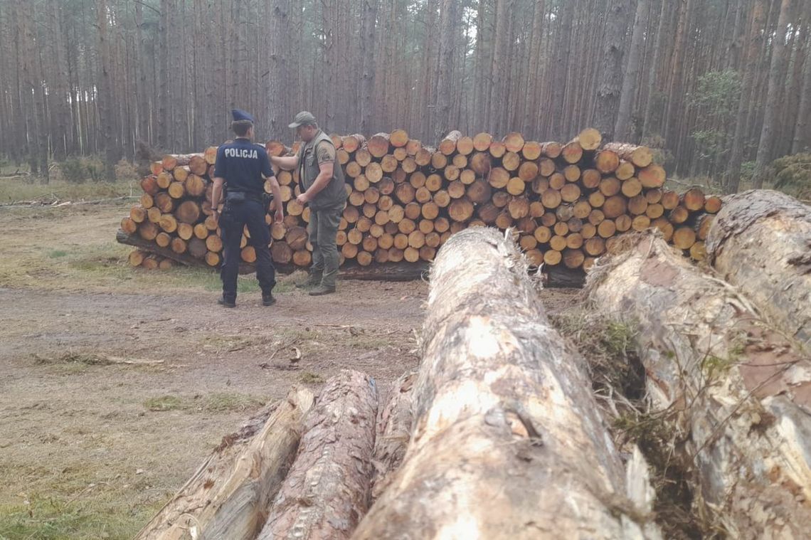 Bydgoscy policjanci patrolują wspólnie ze Strażą Leśną tereny leśne
