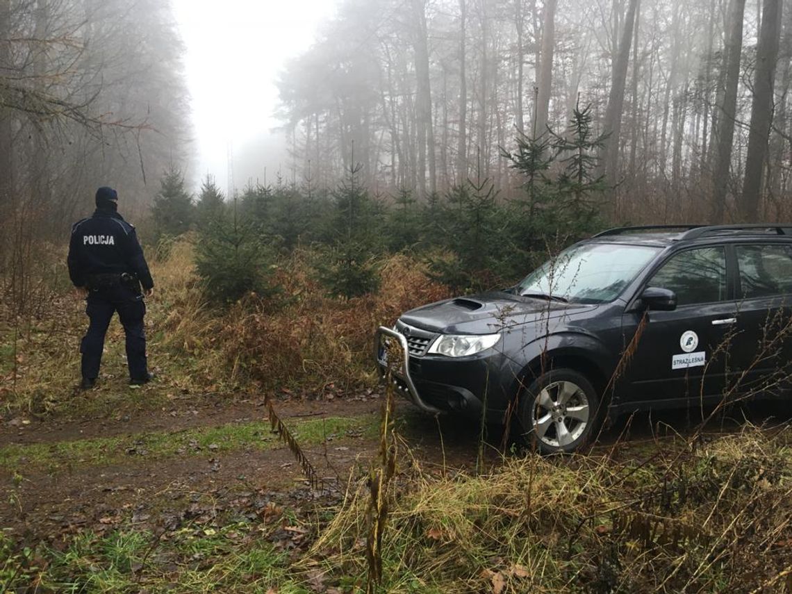 Bydgoska policja i Straż Leśna kontrolują prawidłowe zachowania zbieraczy zrzutów w lesie