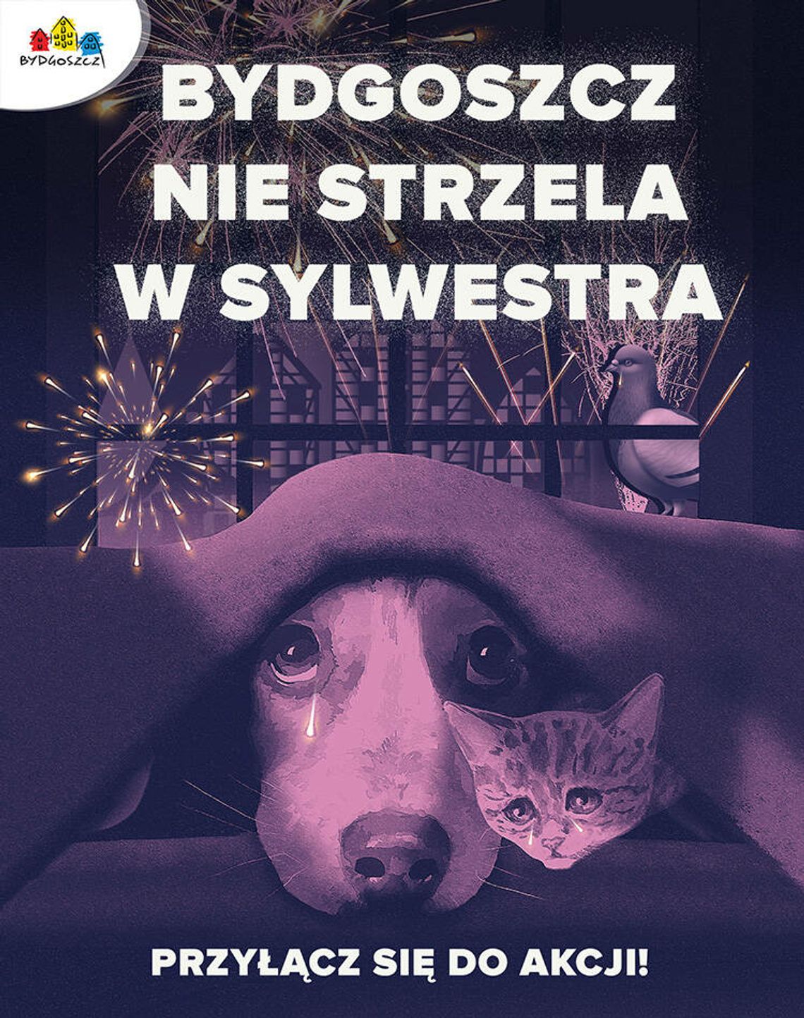 Bydgoszcz nie strzela w Sylwestra. Przyłącz się do akcji!