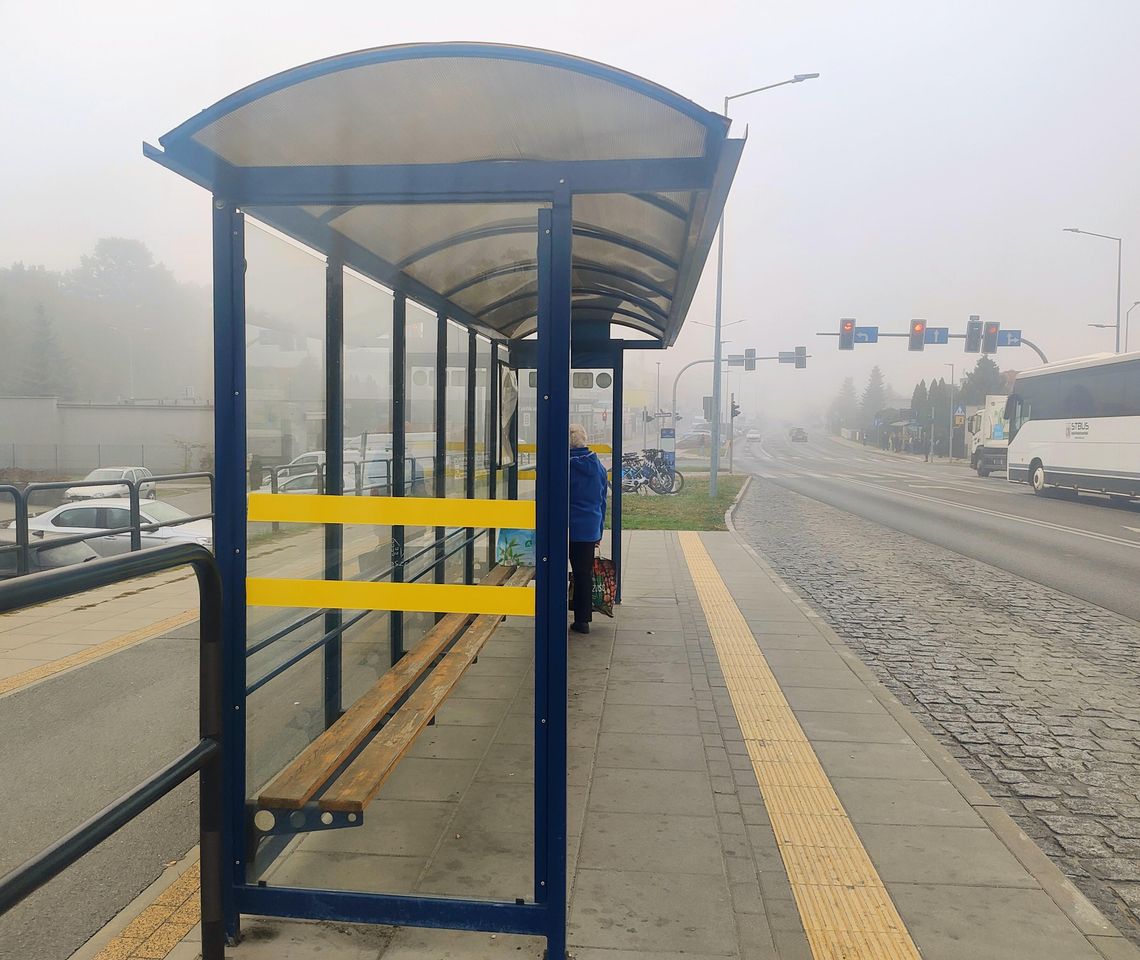 Bydgoszcz stawia na darmową komunikację 1 listopada. Kierowców czekają duże zmiany Bydgoszcz stawia na darmową komunikację 1 listopada. Kierowców czekają duże zmiany