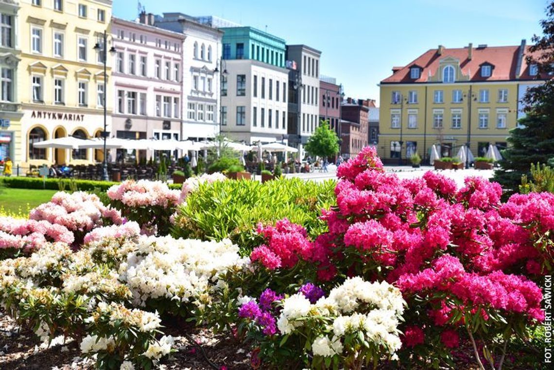 Bydgoszcz w zieleni i kwiatach 