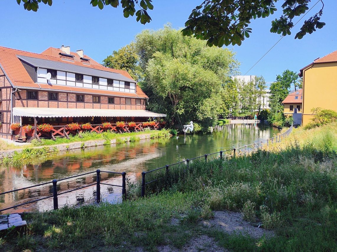Bydgoszcz żegna wakacje. Przed mieszkańcami weekend pełen koncertów, spacerów i rodzinnych atrakcji Bydgoszcz żegna wakacje. Przed mieszkańcami weekend pełen koncertów, spacerów i rodzinnych atrakcji