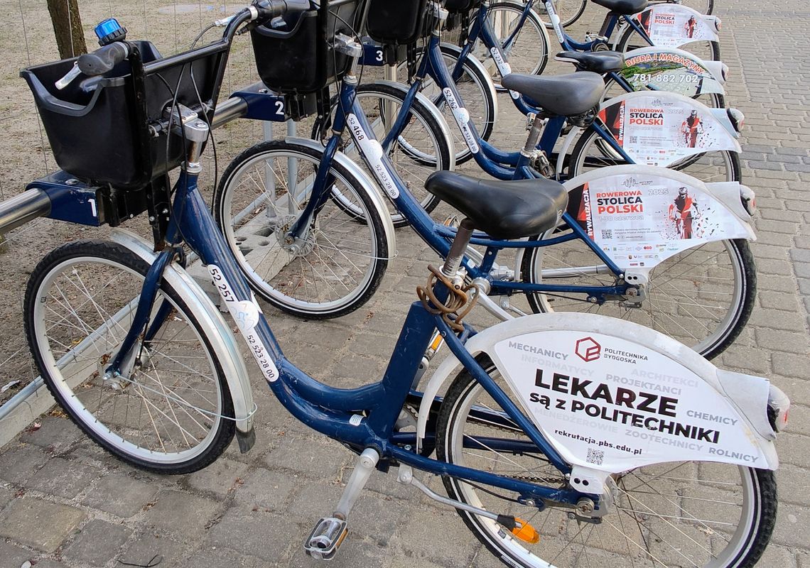 Centrum miasta bezpieczniejsze dla rowerzystów