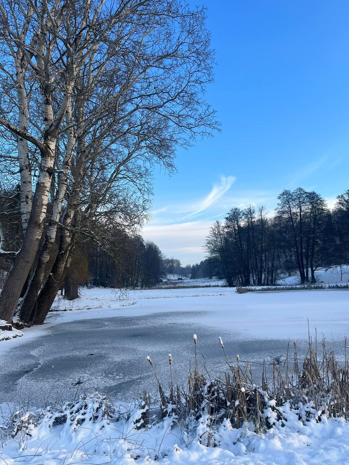 Drzwi otwarte w Ogrodzie Botanicznym Myślęcinek: Bezpłatne zwiedzanie 17–18 stycznia