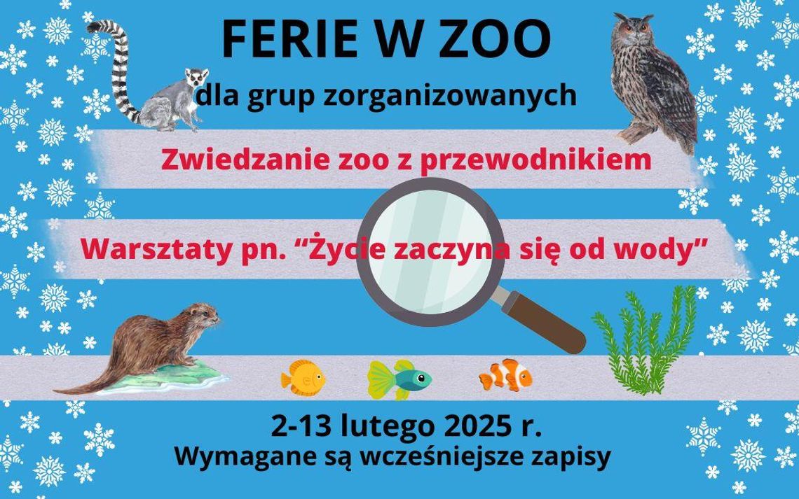 Plakat promujący ferie w ZOO z grafikami zwierząt