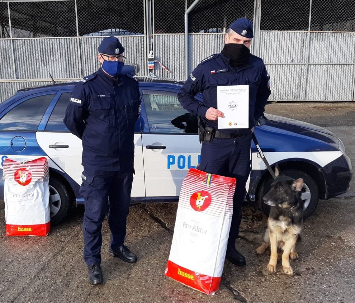 Fiona i Buczuś - policyjne psiaki z bydgoskiej komendy na zasłużonej emeryturze [FOTO]