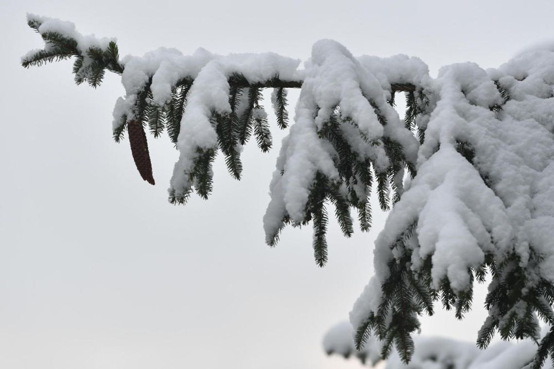IMGW wydał ostrzeżenia przed marznącymi opadami, oblodzeniem i intensywnymi opadami śniegu