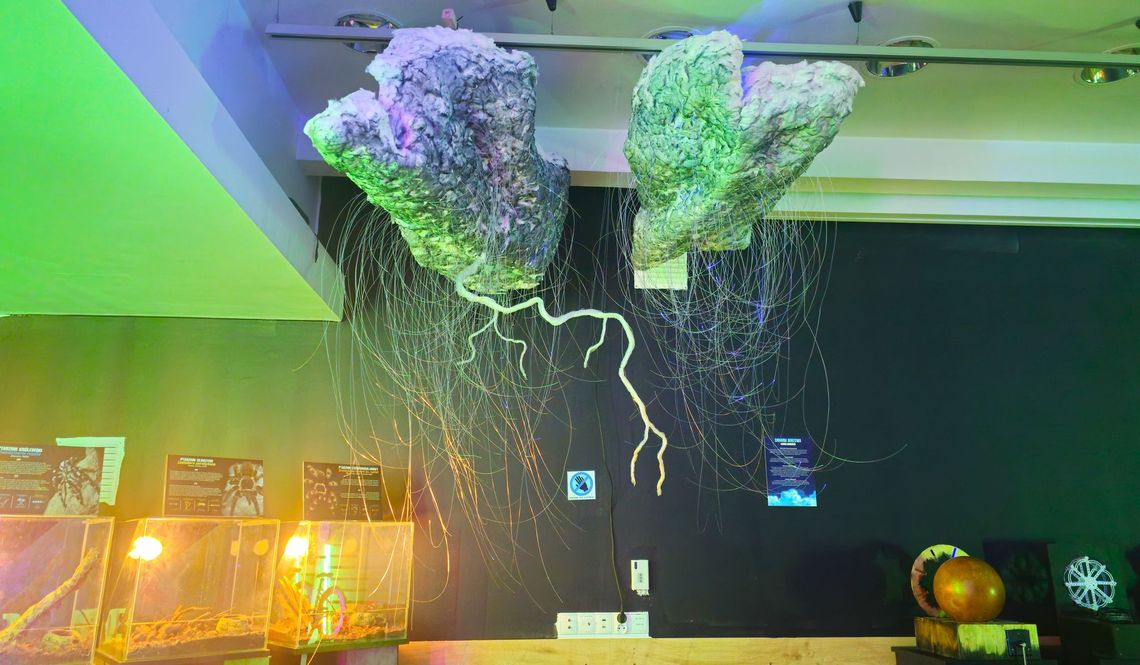 Interaktywna Wystawa Energii po raz pierwszy w Bydgoszczy