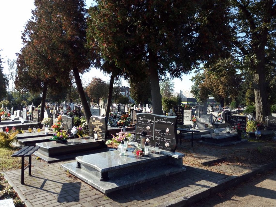  Jak będzie wyglądała organizacja ruchu przy cmentarzach w dniu Wszystkich Świętych?