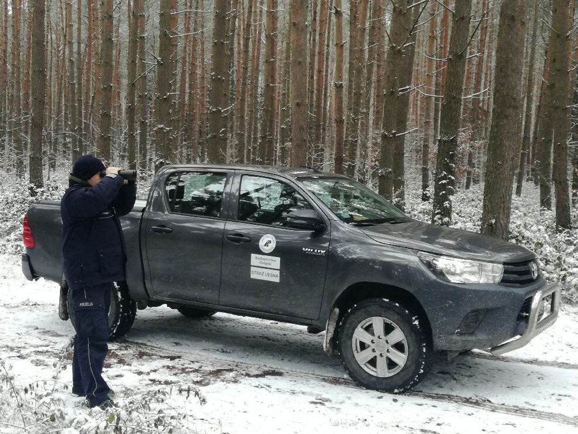 Kontrole podbydgoskich i regionalnych lasów 