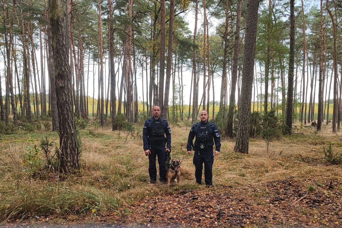 Kujawsko-pomorskie: Policyjny pies tropiący odnalazł zaginionego grzybiarza