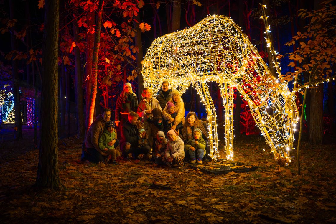 Lumina Park wraca do Bydgoszczy z trasą 'Królestwo Zwierząt'