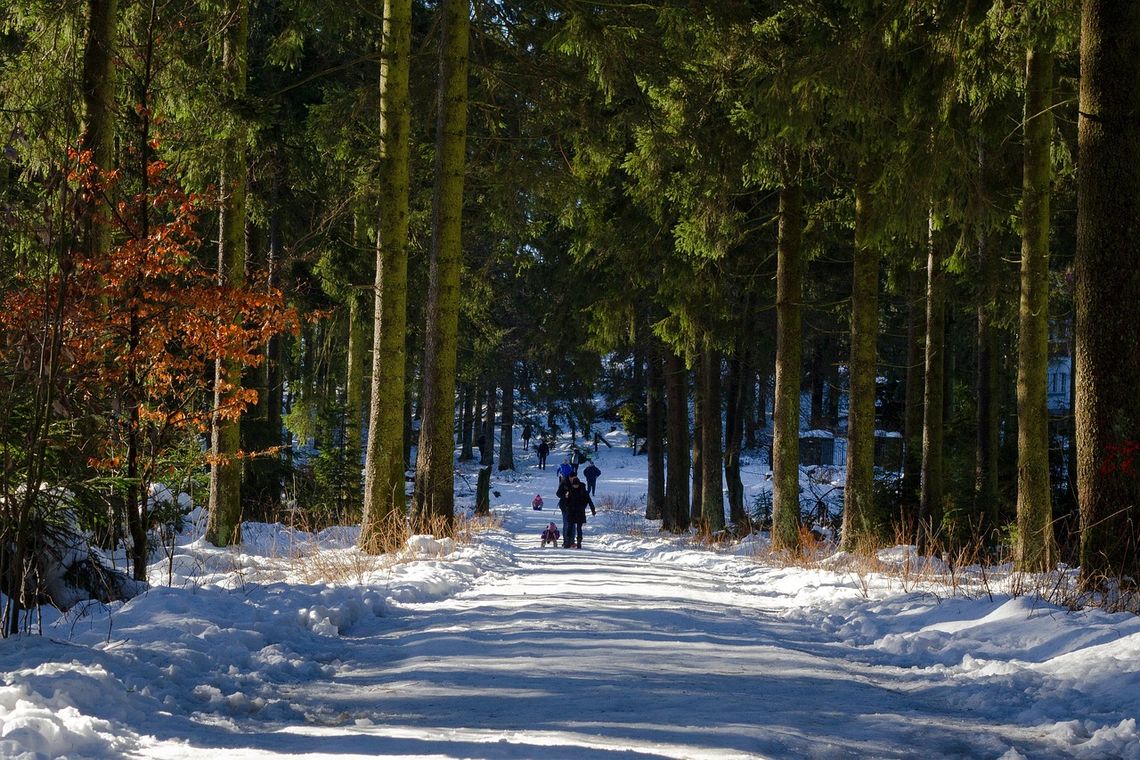 Luty z "Kulturą na świeżym" w Bydgoszczy: Wędrówka, spacer i wyjazd do Kwidzyna