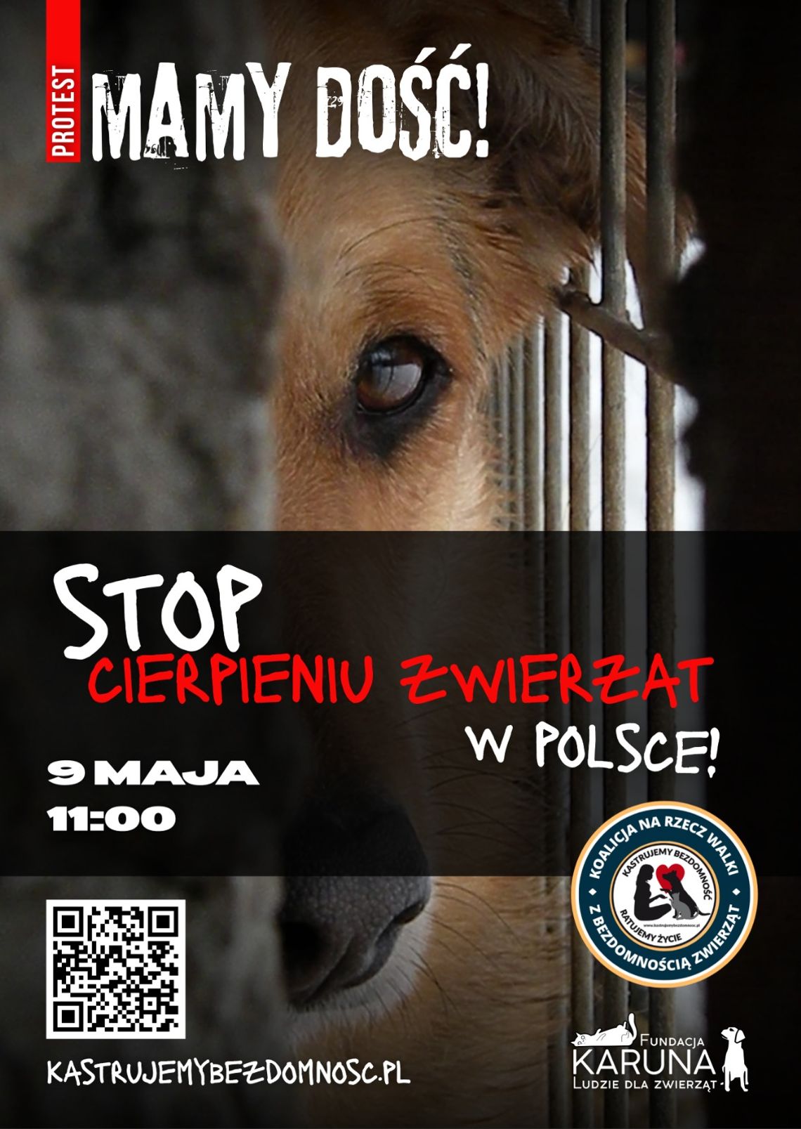 "MAMY DOŚĆ!" - Akcja na rzecz zwierząt także w Bydgoszczy