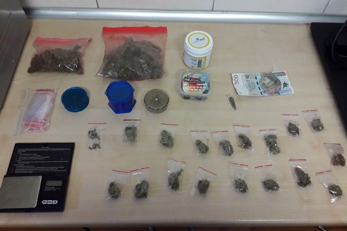 Marihuana oraz grzybki halucynogenne zabezpieczone przez bydgoską policję [WIDEO]