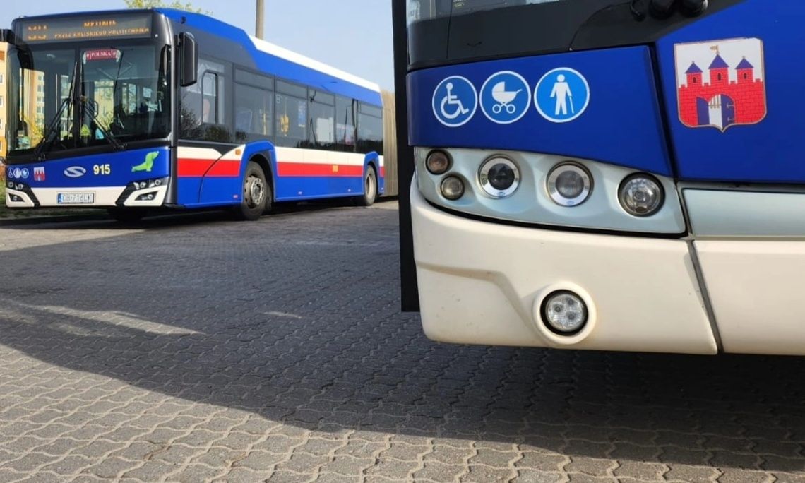 Na podbydgoską plażę dojedziesz autobusem