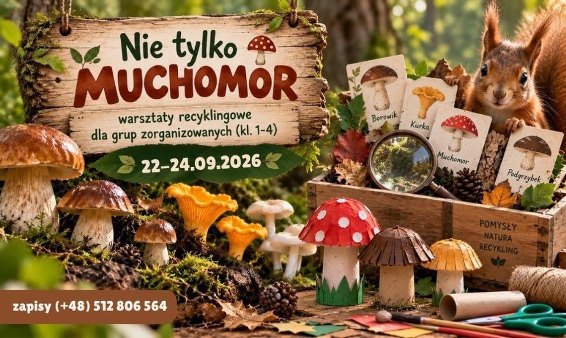 Nie tylko muchomor – warsztaty recyklingowe dla grup zorganizowanych (kl. 1-4) Nie tylko muchomor – warsztaty recyklingowe dla grup zorganizowanych (kl. 1-4)