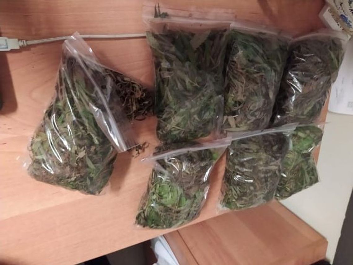 Nieletni z regionu złapani z metamfetaminą i ponad kilogramem marihuany