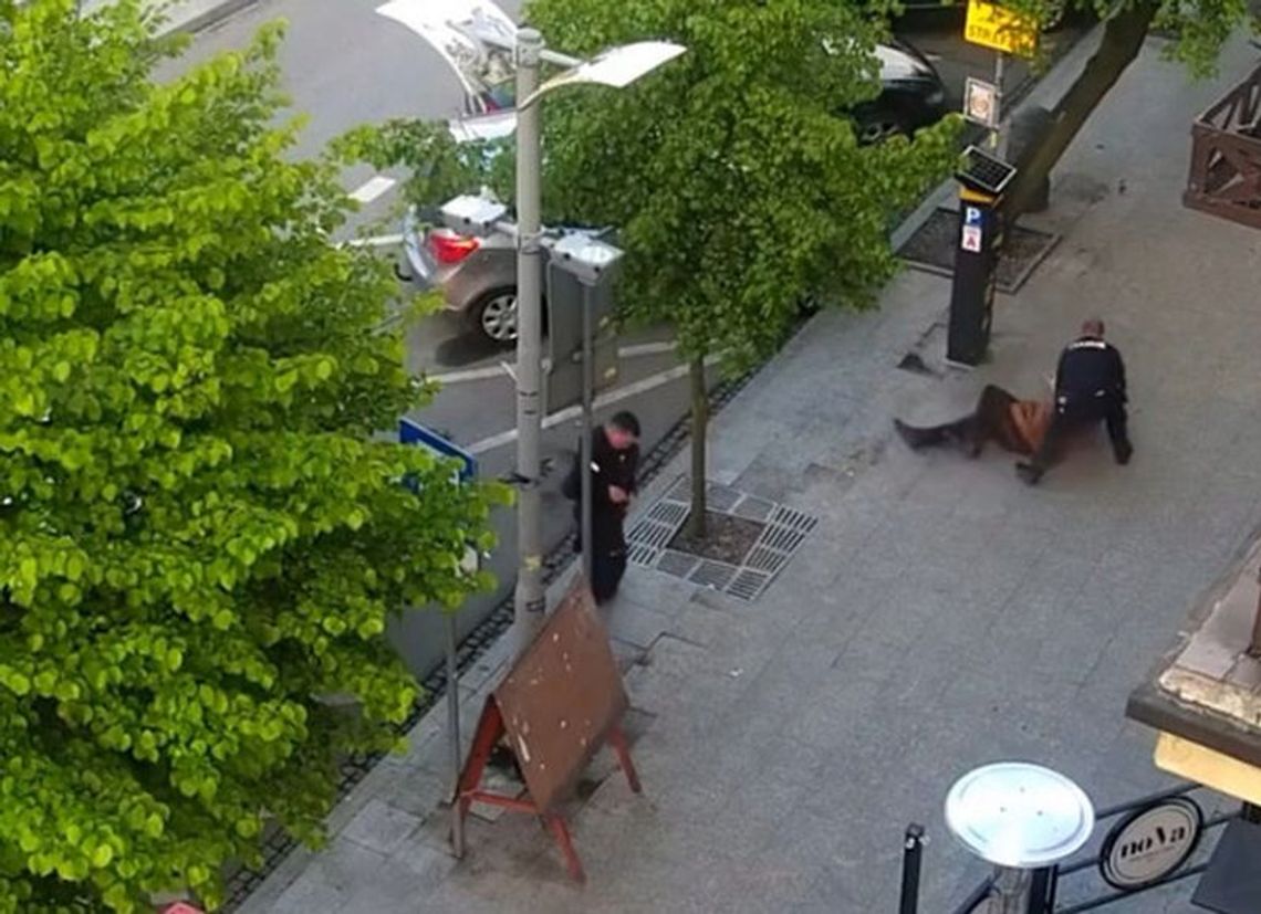 Oddał kilka strzałów w centrum miasta, dlatego trafił do aresztu