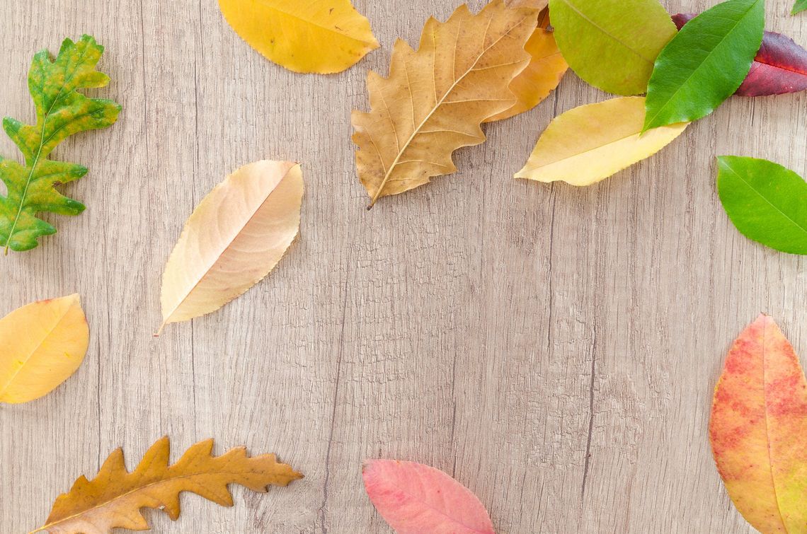 Okres jesienny – jak realizować swój wolny czas?