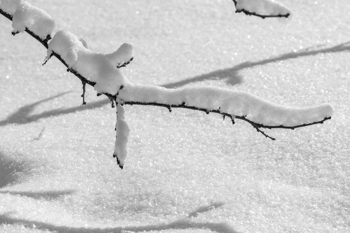 Ostrzeżenie meteorologiczne dla województwa kujawsko-pomorskiego Ostrzeżenie meteorologiczne dla województwa kujawsko-pomorskiego