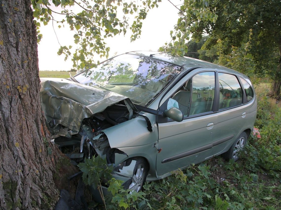 Pijana 23-latka wioząca autem dwoje dzieci, uderzyła w drzewo 