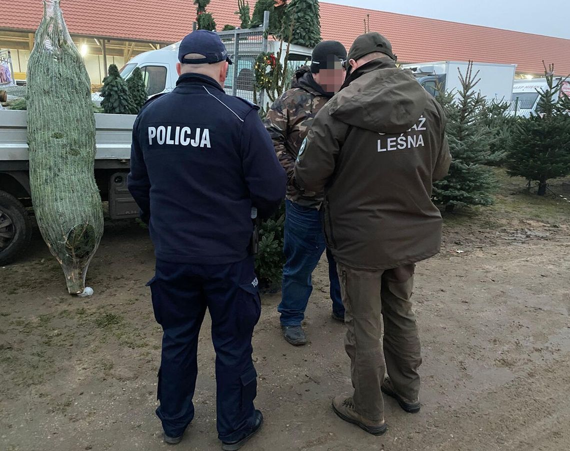 Policjanci kontrolują punkty sprzedaży choinek w regionie