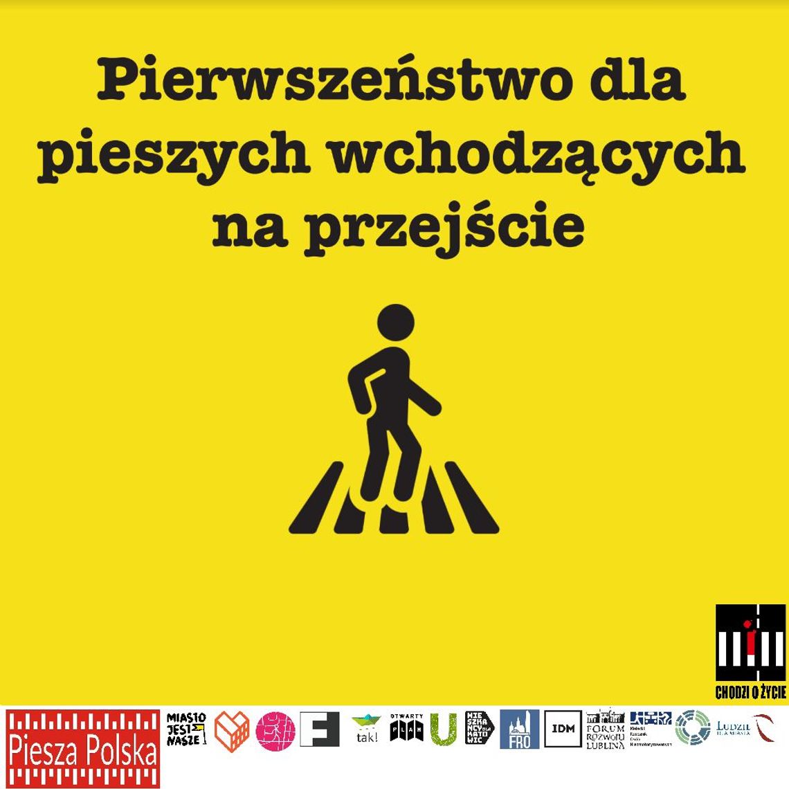 "Polskie drogi to strefa śmierci, czas to zatrzymać!" Ruchy miejskie z kilkunastu miast ruszają z kampanią #ChodziOżycie