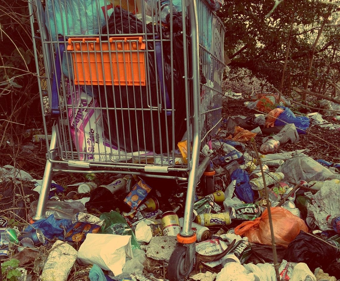 Rozrzucone śmieci lub inny problem w mieście zgłosisz dzięki specjalnej aplikacji 