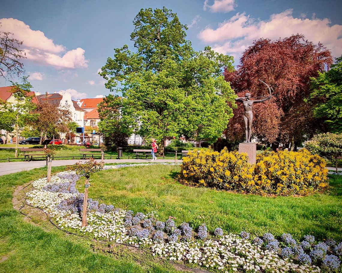 Rozstrzygnięto konkurs "Bydgoszcz w kwiatach i zieleni" — laureaci 2025