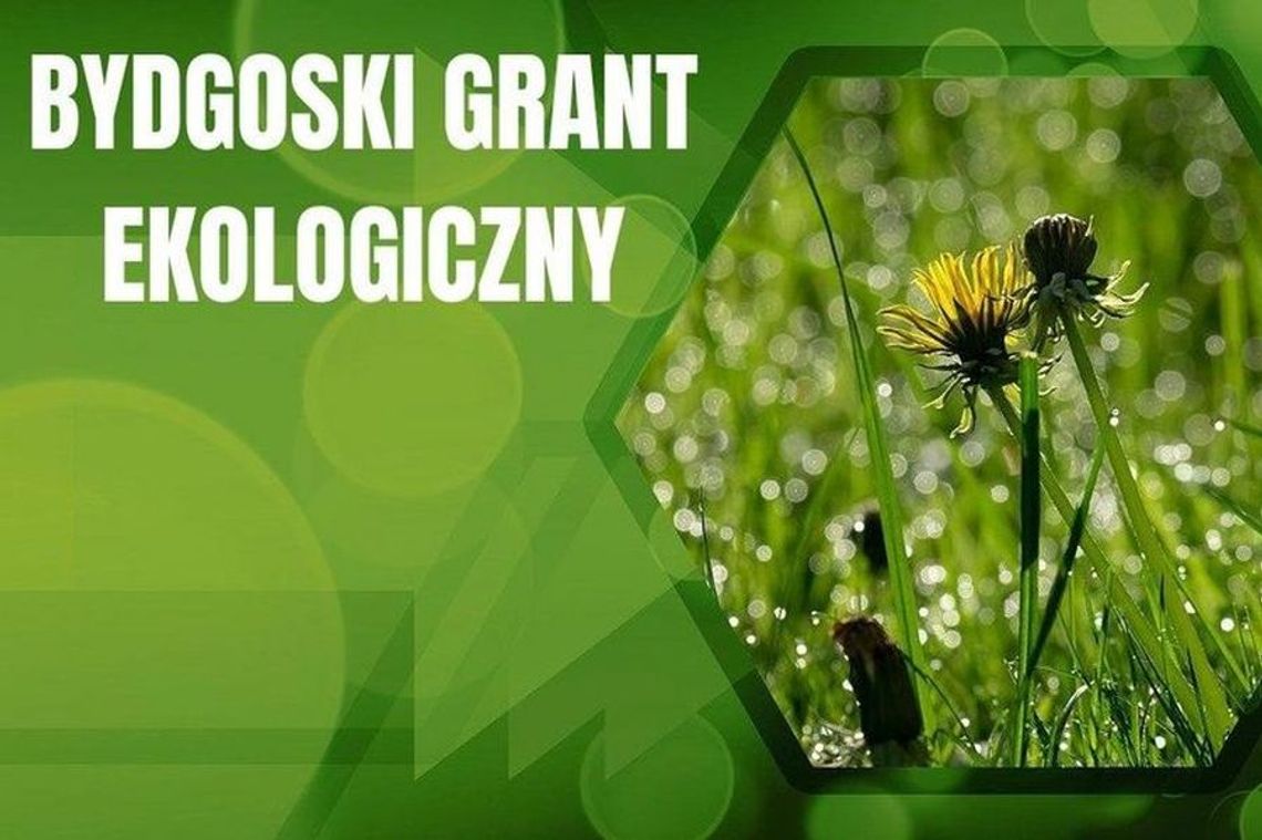 Ruszył nabór wniosków o Bydgoski Grant Ekologiczny na 2026. Termin: 15 grudnia 2025