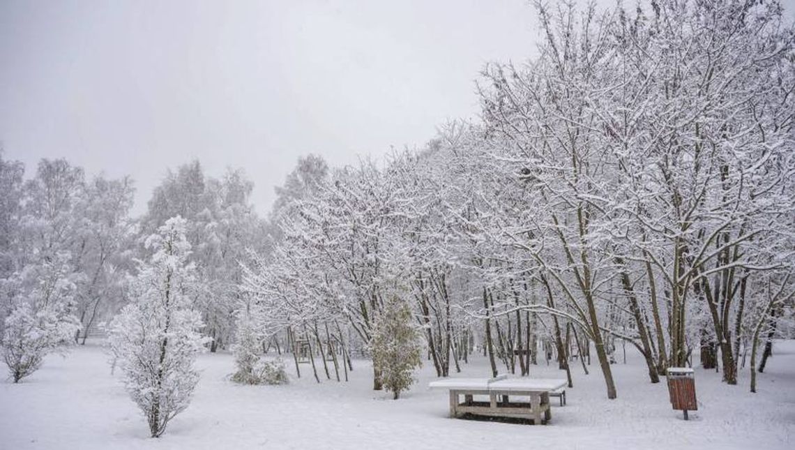 Rzeczniczka IMGW: Boże Narodzenie mroźne, ale z wyczekiwanym śniegiem