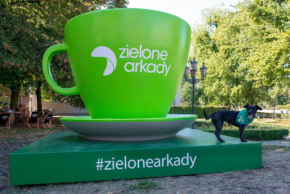 Setki zdjęć z wielkimi zielonymi figurami w Bydgoszczy. Sukces akcji "Przed nami coś zielonego"