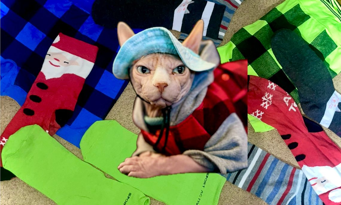 Skarpetki pełne nadziei — studenci UKW zbierają dary dla osób bezdomnych