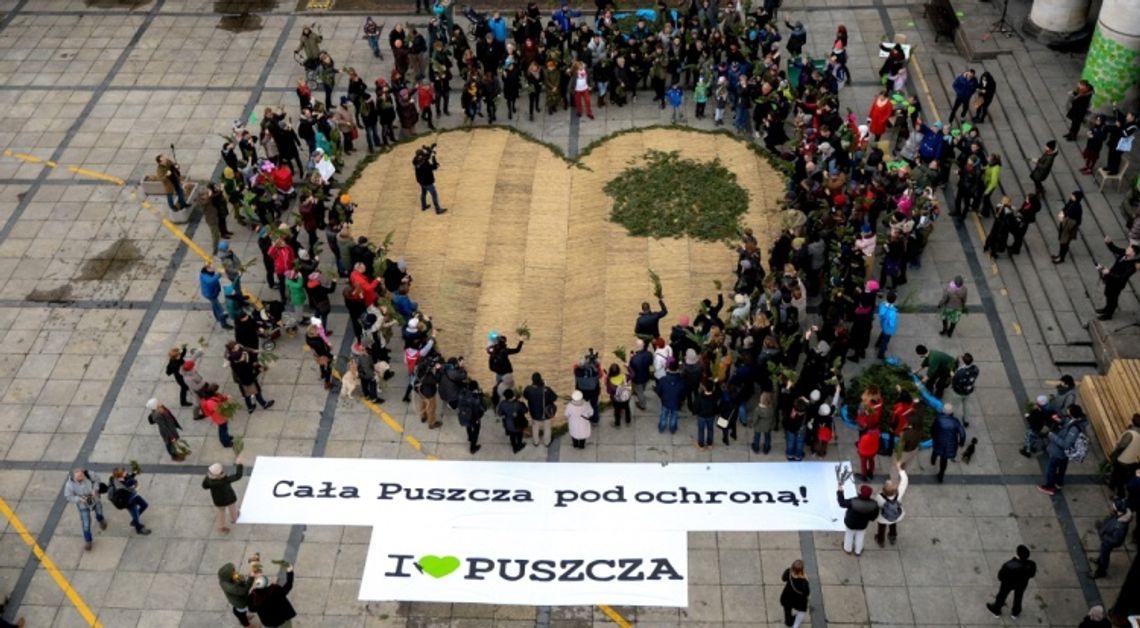 Stop wycince Puszczy Białowieskiej protest w Bydgoszczy