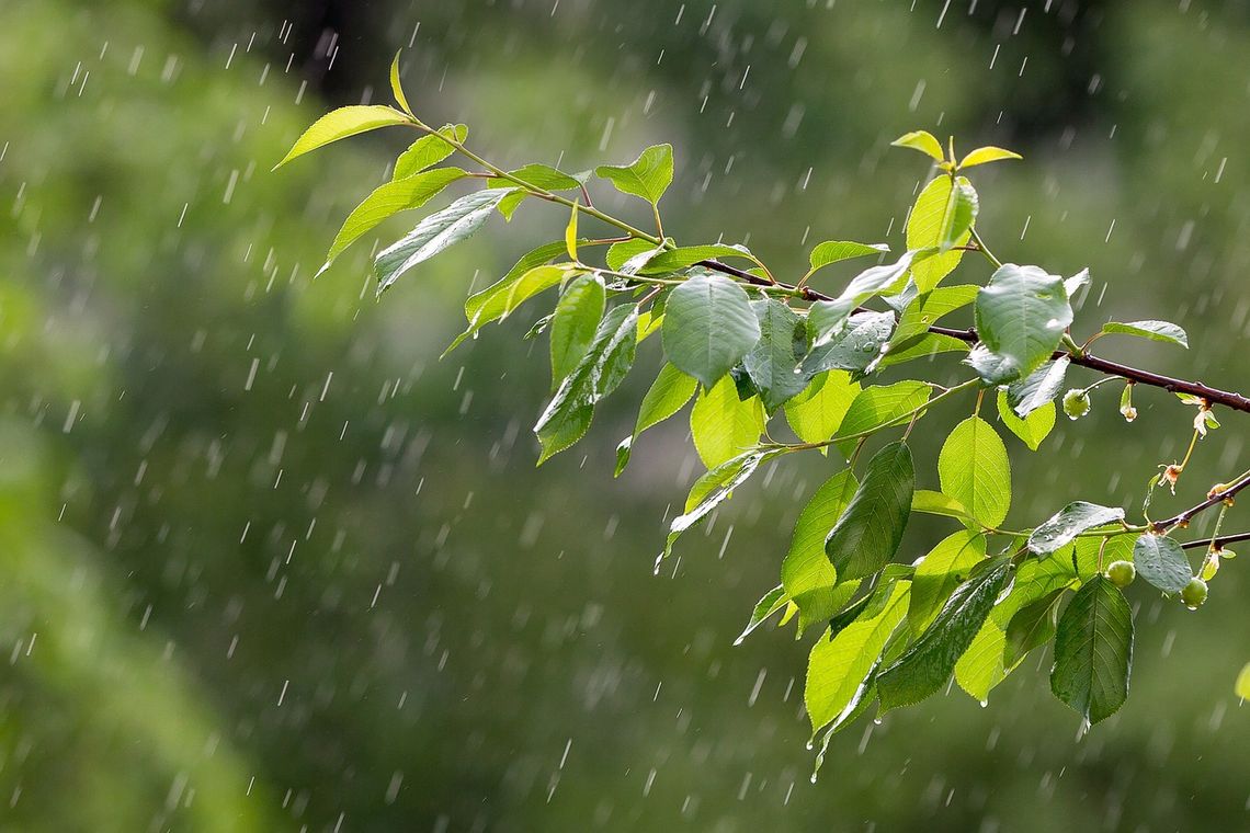 Synoptyk IMGW: Wtorek pochmurny i deszczowy z burzami na północy i zachodzie kraju